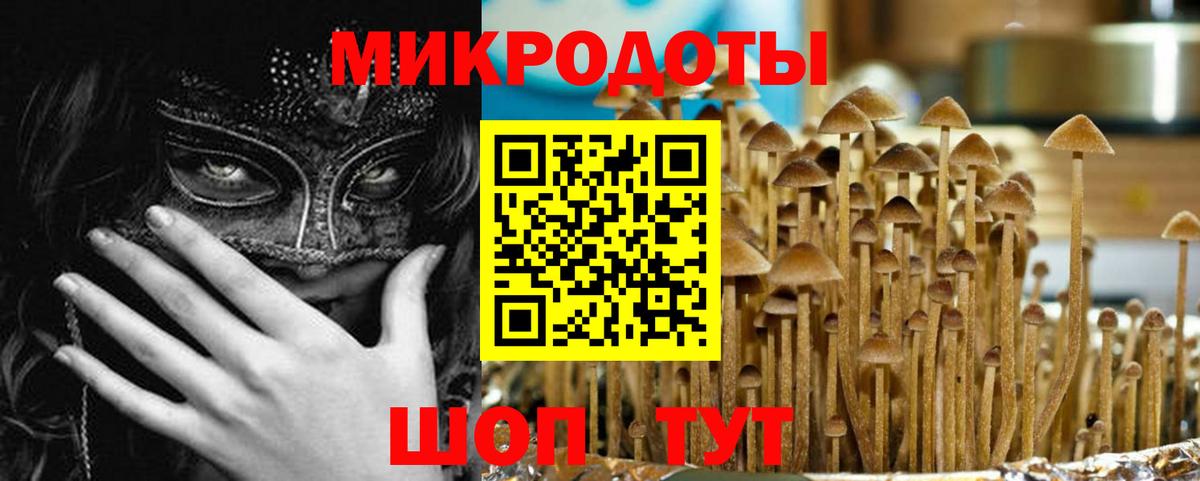 Псилоцибиновые грибы GOLDEN TEACHER  цена   Вход с VPN  Протвино  Галлюциногенные грибы мицелий 